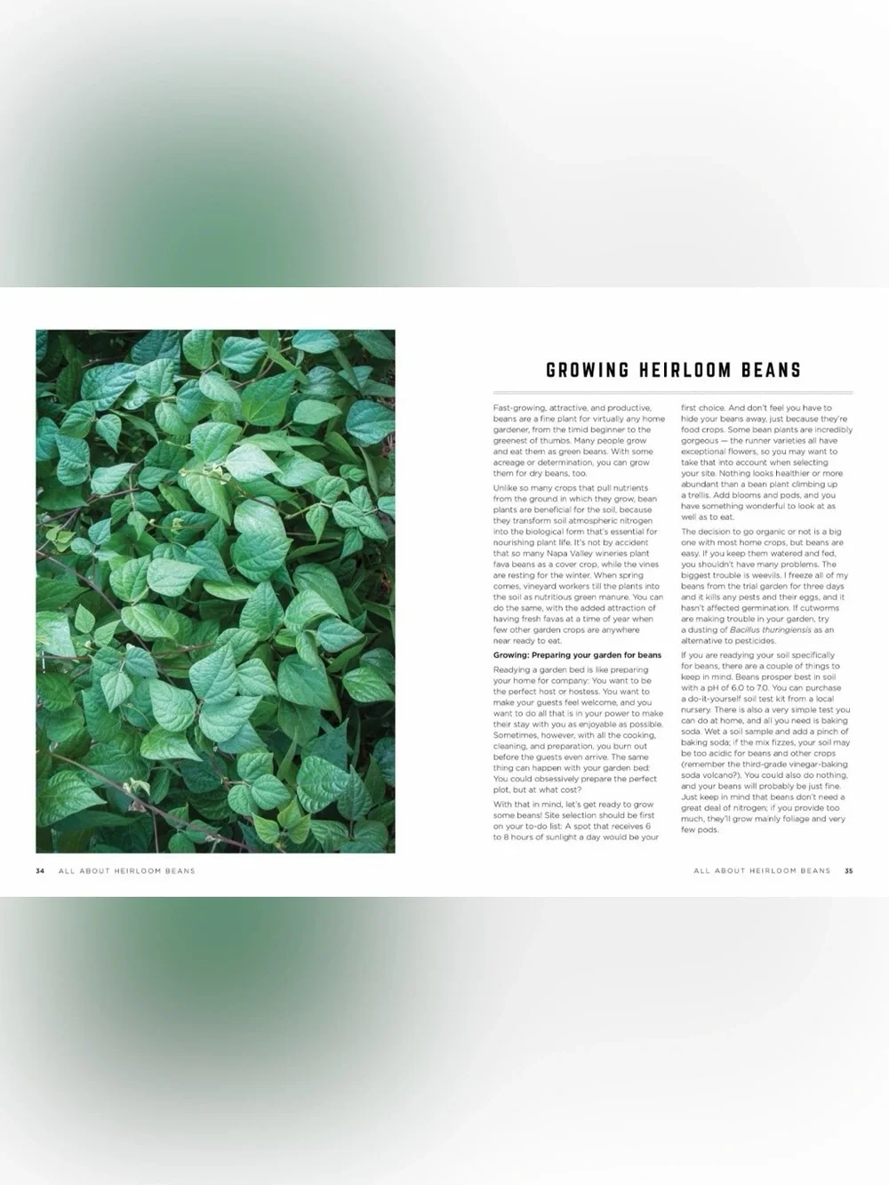 The Rancho Gordo Heirloom Bean Guide Hardcover Book